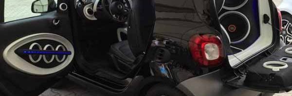 Bass amplifier and subwoofer