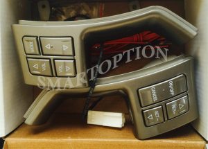 کروز کنترل جیلی ام گرند