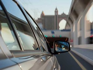 Cases about side mirrors