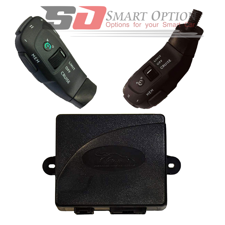 کروز کنترل رنو سفران