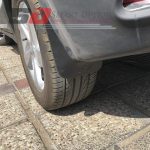 گل پخش کن جک اس 3 - تصویر 6