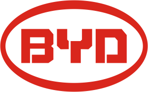 آپشن های ماشین BYD